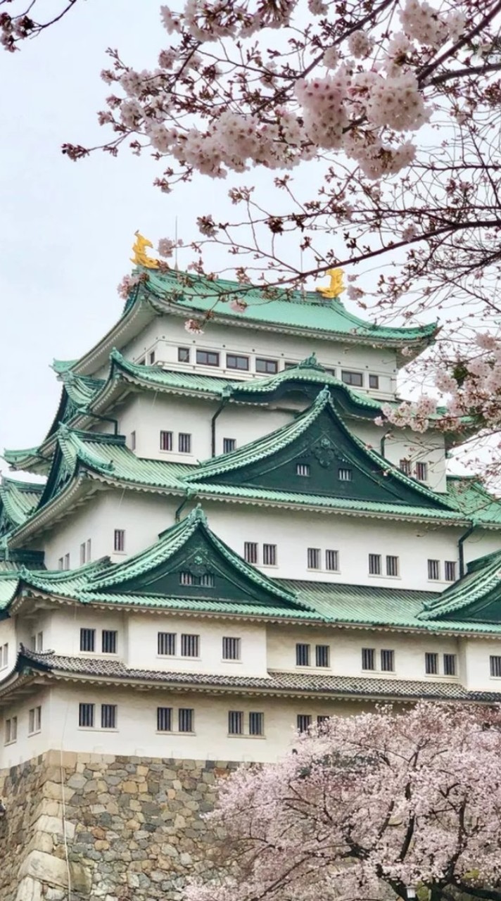 2025/3/23-29-名古屋-大阪遊