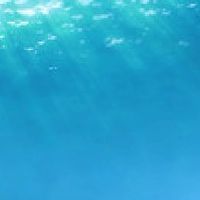 こころの休憩所