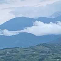 ✈️護照簽證通/旅品果(生鮮蔬果）