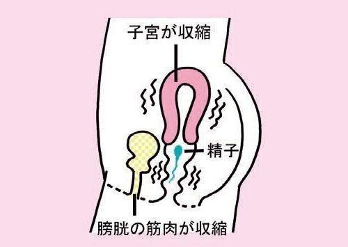 生後9ヶ月 食事を座って食べてくれない 専門家q A