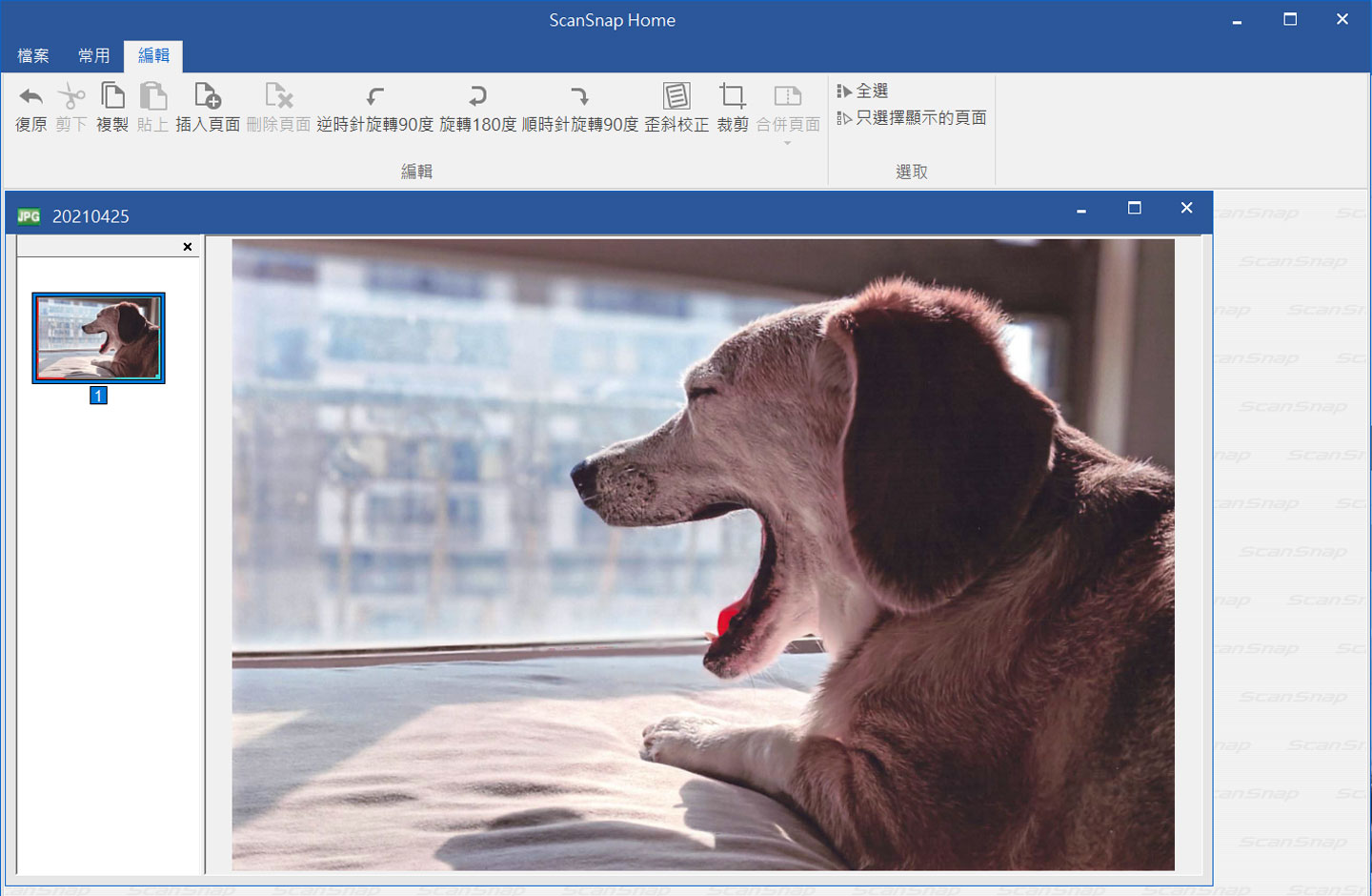 也可以透過文件編輯功能，進行頁面的旋轉、裁剪或是歪斜校正。