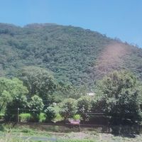 中醫自然療法自學分享
