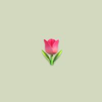 花花發發🌷