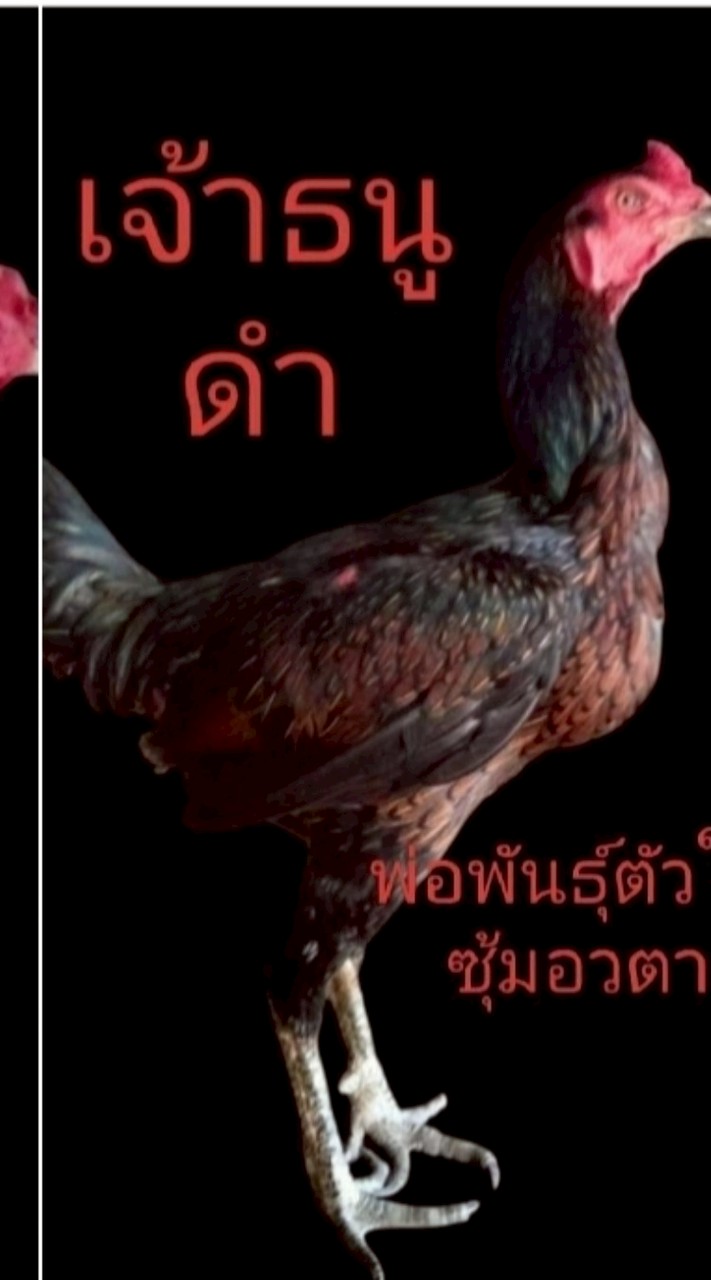 ซุ้ม.อวตาร