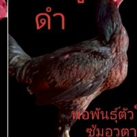 ซุ้ม.อวตาร