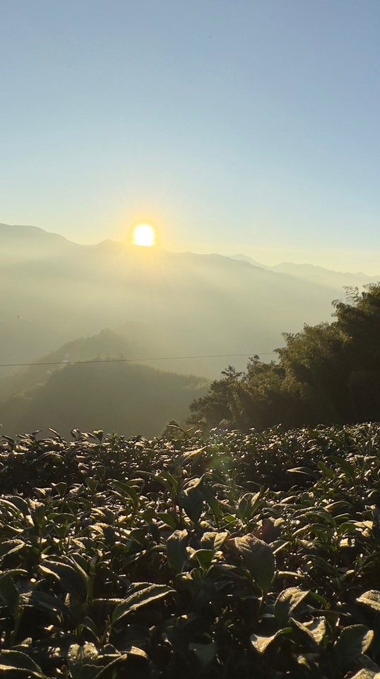 中部雲林山友社