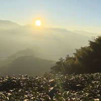 中部雲林山友社