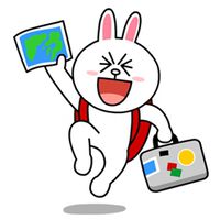 IT support - LeverEdge