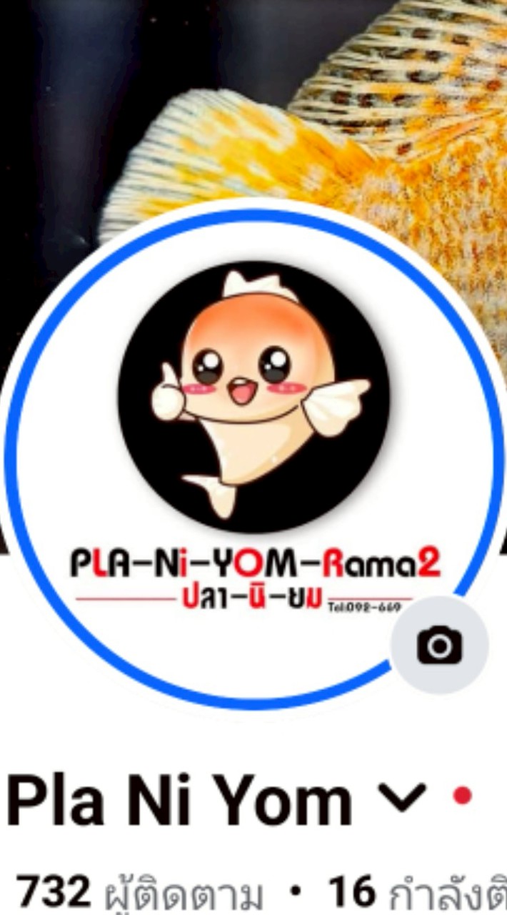 PLa-Ni-YOM community