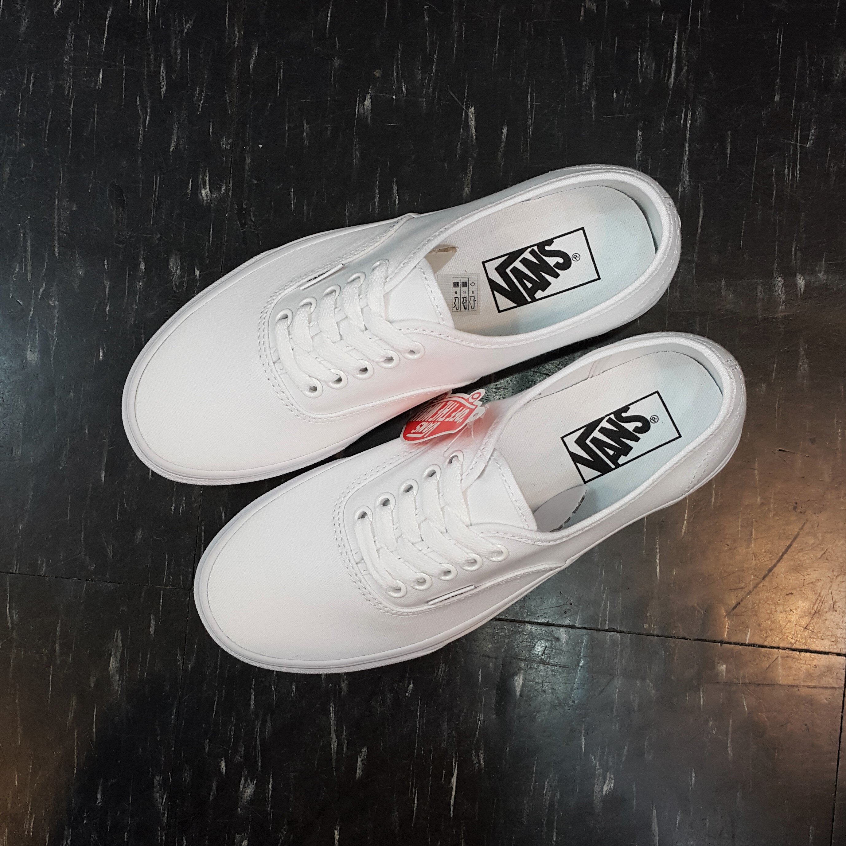 VANS Authentic True White 白色 全白 帆布 基本款 經典款 滑板鞋 VN000EE3W00