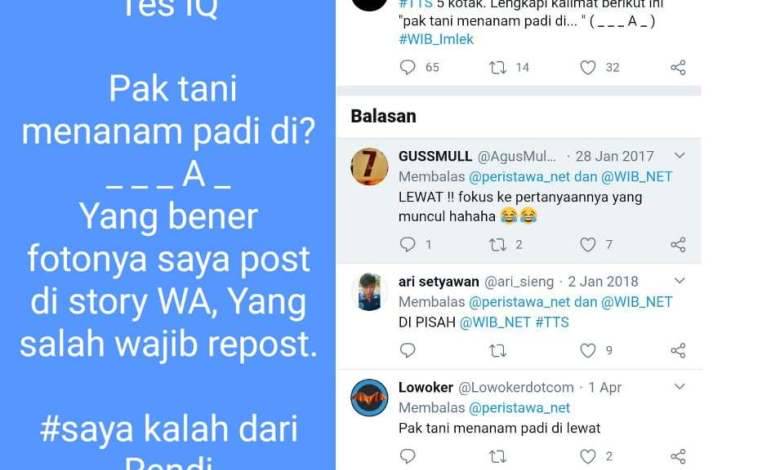 Jawaban Dan Pembahasan Tes Iq Pak Tani Menanam Padi Di Cianjurtoday Com Line Today