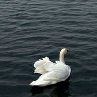 mewmini.phone🦢‎ꫂ᭪݁