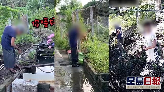 《東張西望》連日跟進元朗洪水橋的村霸婆婆塞渠情況。