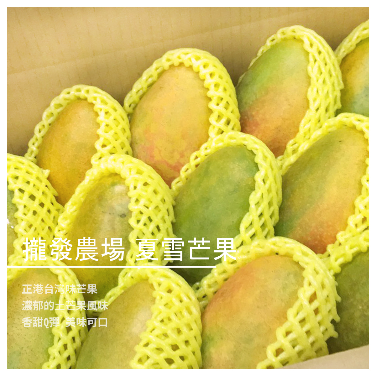 產地：屏東林邊 草生栽培 ｜最佳食用熟度｜ 夏雪芒果全黃時，甜度最高 果肉細緻柔嫩，轉色70%時 甜中帶甜微酸，果肉Q彈，風味極佳 您可依照喜歡口味，選擇食用熟度 芒果外皮如整顆呈現綠色，請放置室外 