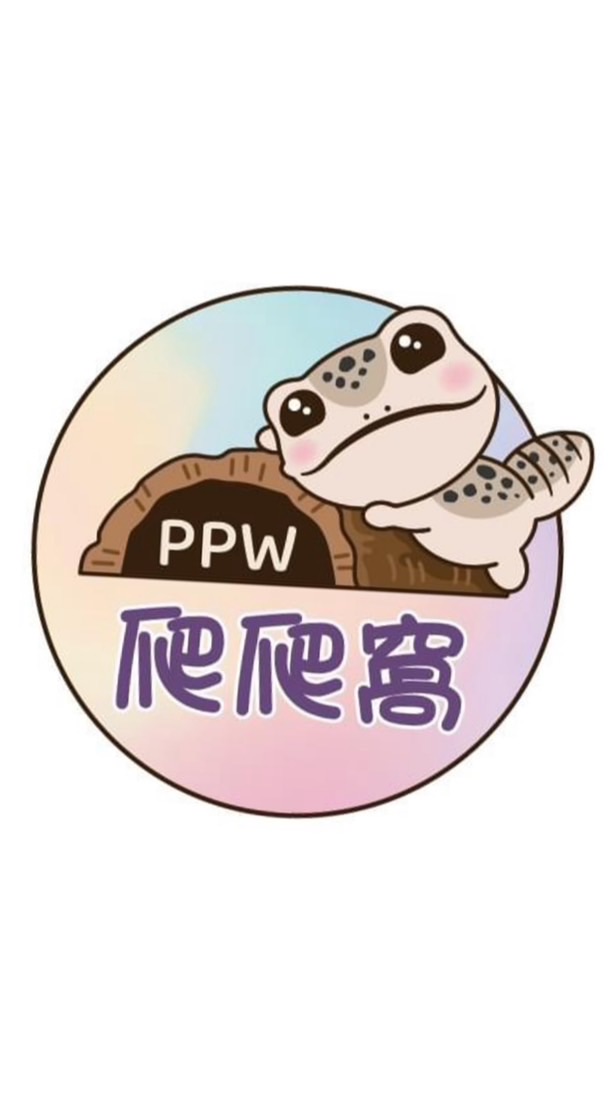 爬爬窩PAPAWO