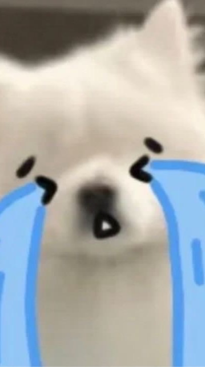 Zepeto Zem