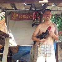 ไก่ชนไทย by เพชร๔๙
