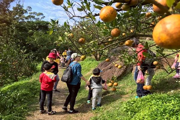 採果何處去 走吧 來趟水果之旅 自己要吃的水果自己採 旅遊滔客 Line Today