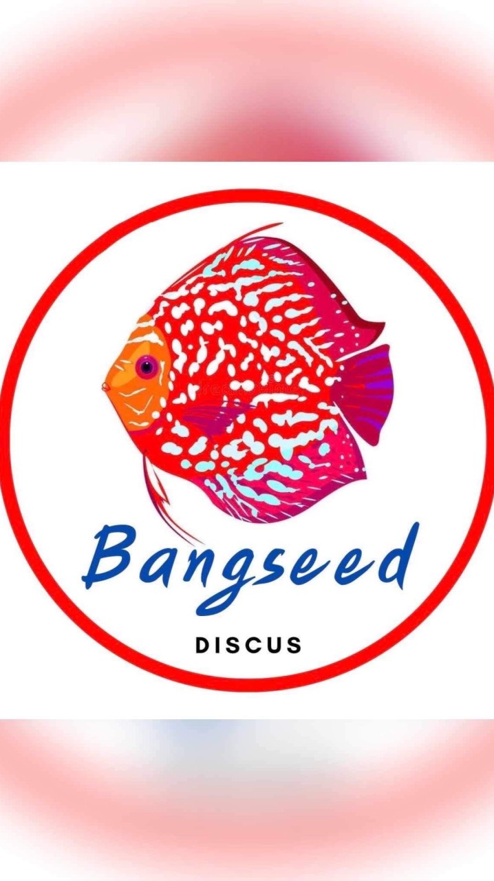 ลูกค้าที่เคยซื้อ Bangseed discus