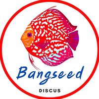 ลูกค้าที่เคยซื้อ Bangseed discus