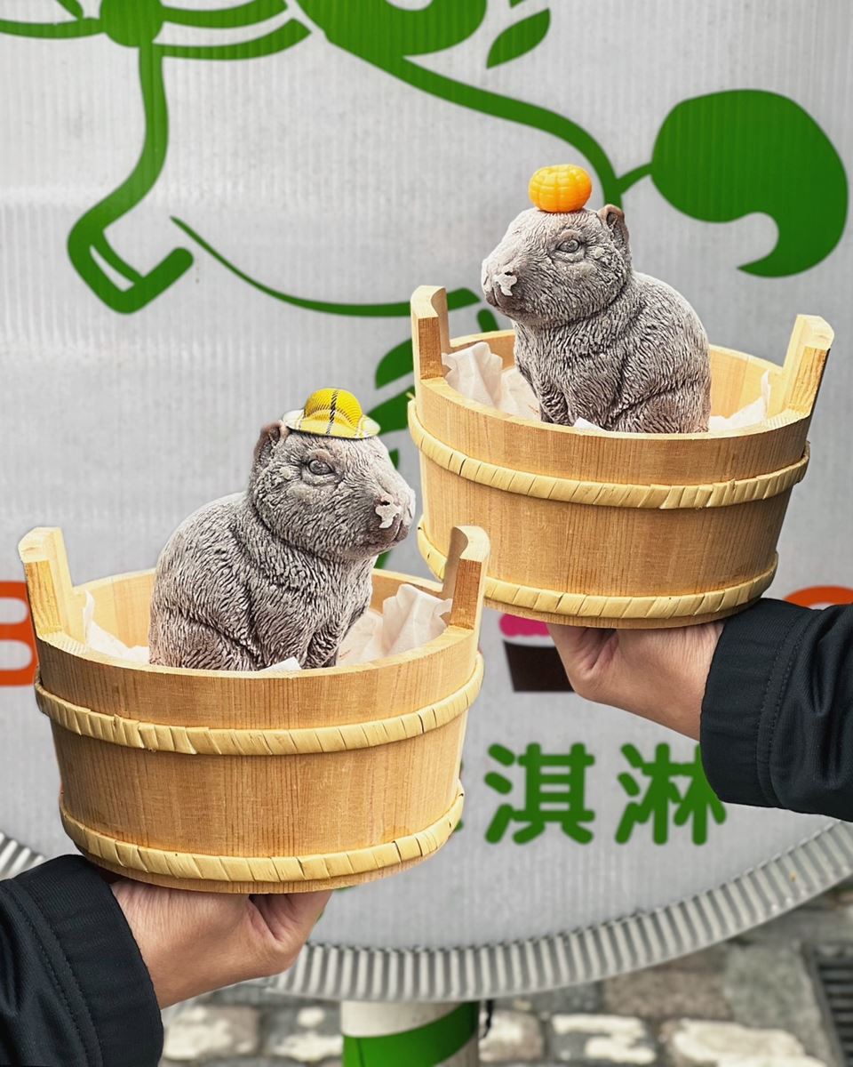 食尚鐵粉認證！宜蘭必吃６超強小吃：半熟蛋滷肉飯、排隊小籠包、炸蛋蔥油餅