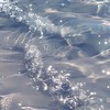 荒野と雑談を楽しもう