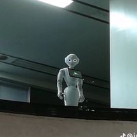 ロブロックス　キンレガorブロフル