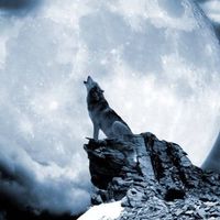 同じ月を見ている🌙