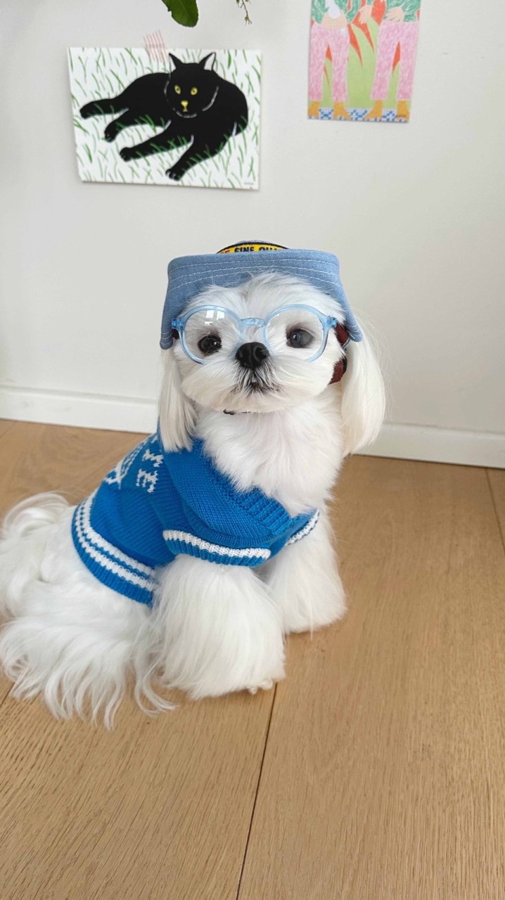 @pawspicked