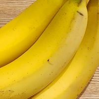 banaナの神のつどい