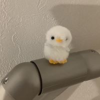 ただ私が話すだけ