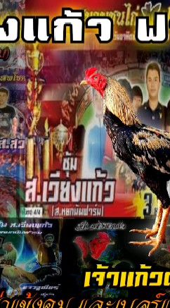 ส.เวียงแก้ว ฟาร์ม