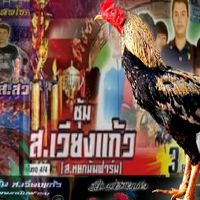 ส.เวียงแก้ว ฟาร์ม