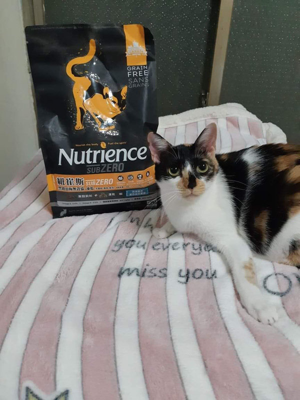 貓飼料推薦-貓奴必備紐崔斯Nutrience 頂級無穀飼料 凍乾系列 成貓無穀 火雞肉+雞肉+鮭魚 2.27kg 開箱分享