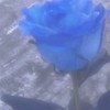 鋼の錬金術師　夢也