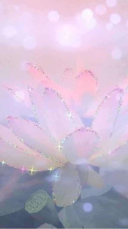 💖愛之心💖