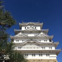 好日好物代購-扭蛋&動漫周邊（8/28～8/30東京連線）