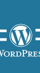 WordPress全般研究会