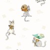 🐭樂俊的十二國記讀書會🐭