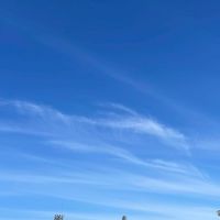 地域交流大会