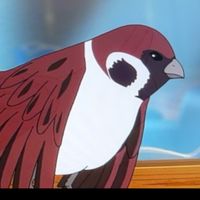 行っくぜー