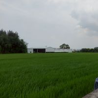 邱小貞中山