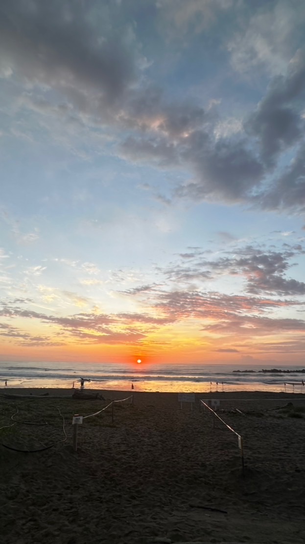 🌊茨城（県外OK）サーフィン20代、波情報🏄