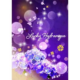 運気上昇☆幸運を呼ぶ紫陽花