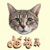 『喵巷弄』貓咪零食罐頭飼料用品團購🐱