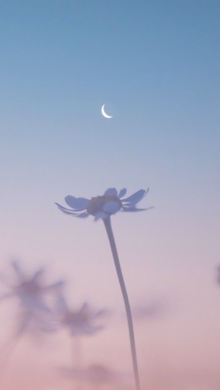 ゲイ⭐バイ 集まれぇ〜