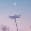 ゲイ⭐バイ 集まれぇ〜