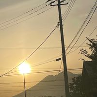 学校
