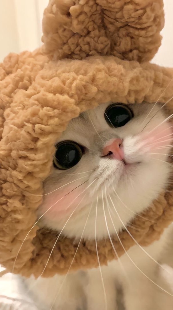 รับแลกวงเงินSPayLater หัก10%