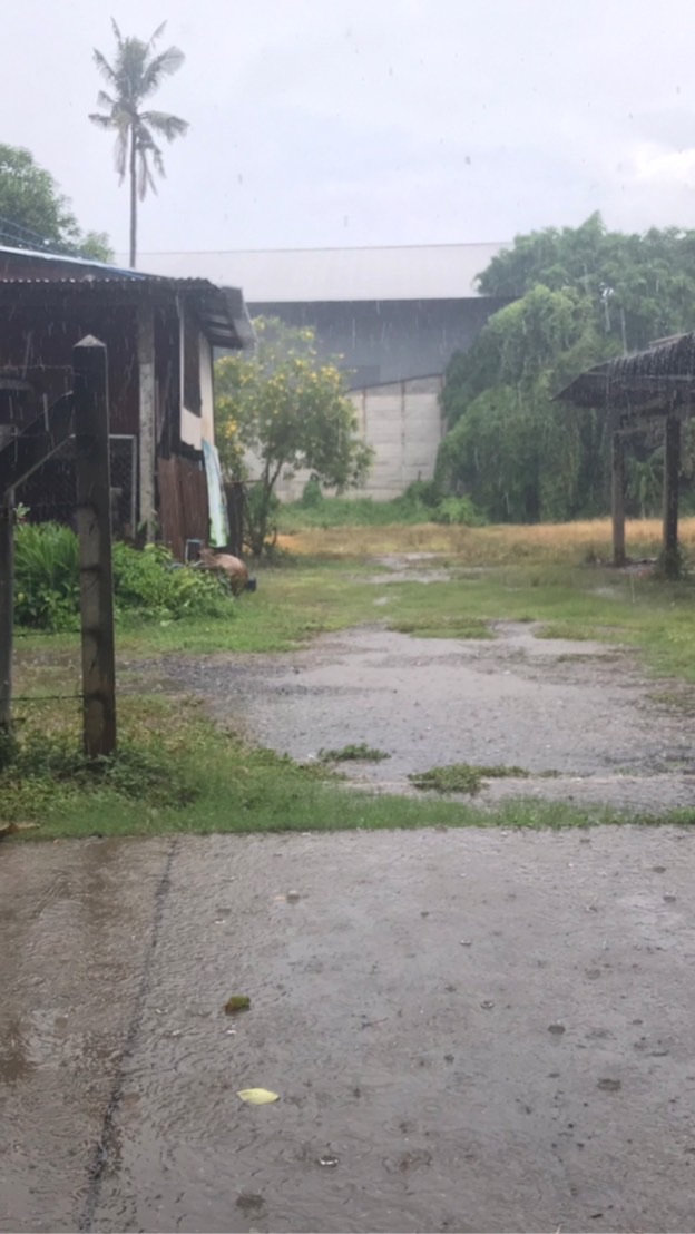 ทุ่งโล่งๆ กับบ้านและสายฝน
